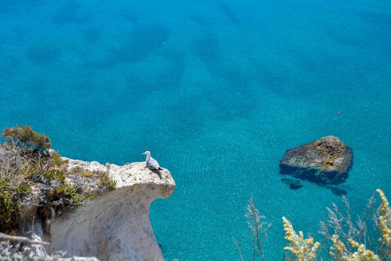 Maridea - Cave Suites Ponza Exteriör bild